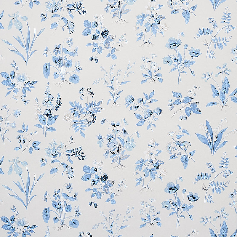 FLOREANA BLUE