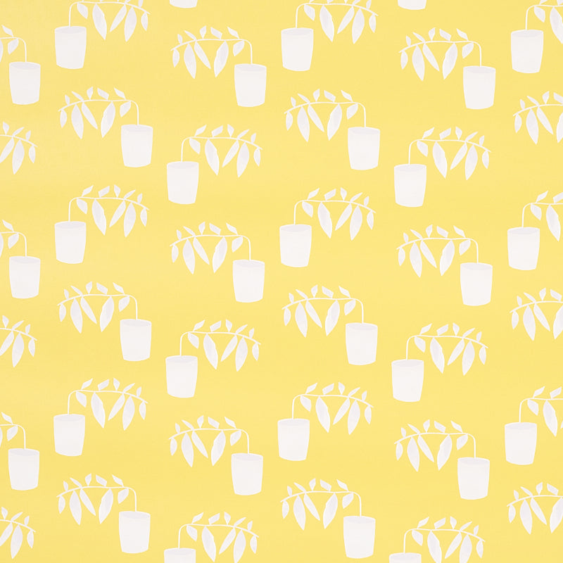 REACHING OUT LEMONADE