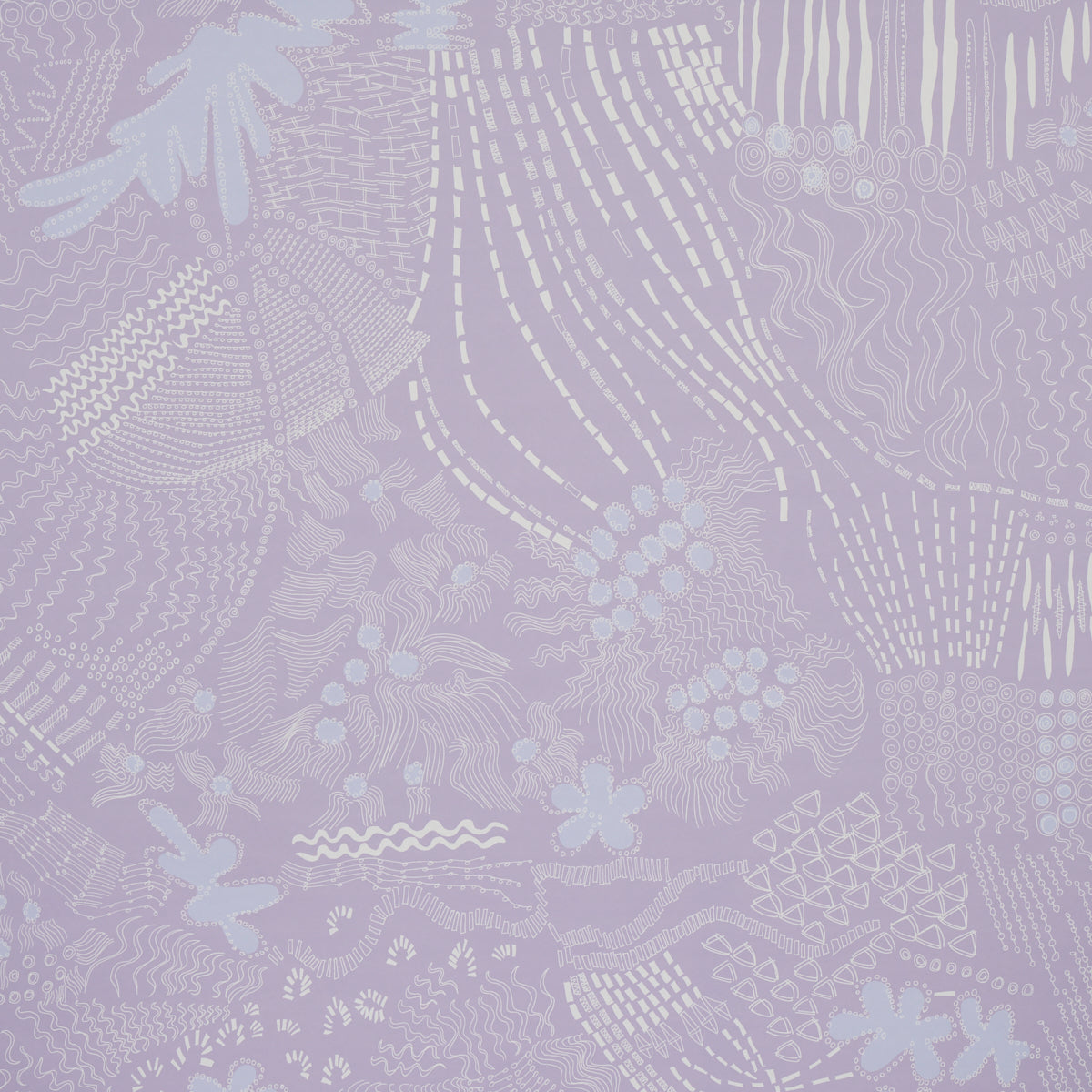 HAVEN LILAC