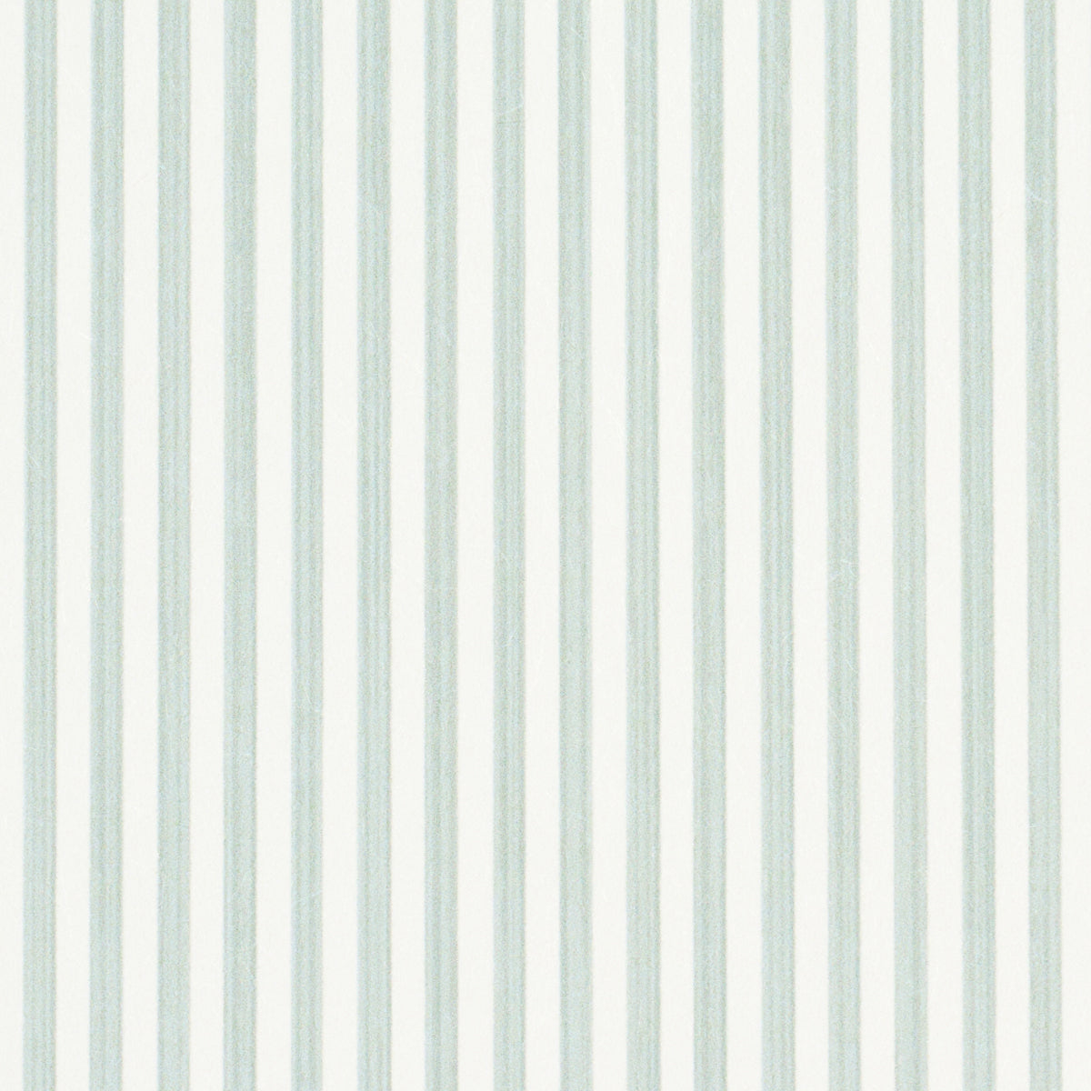 EDWIN STRIPE NARROW EUCALYPTUS