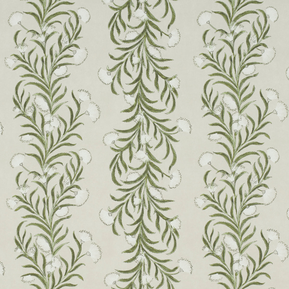 TASMANIAN MIMOSA IVORY & GREEN