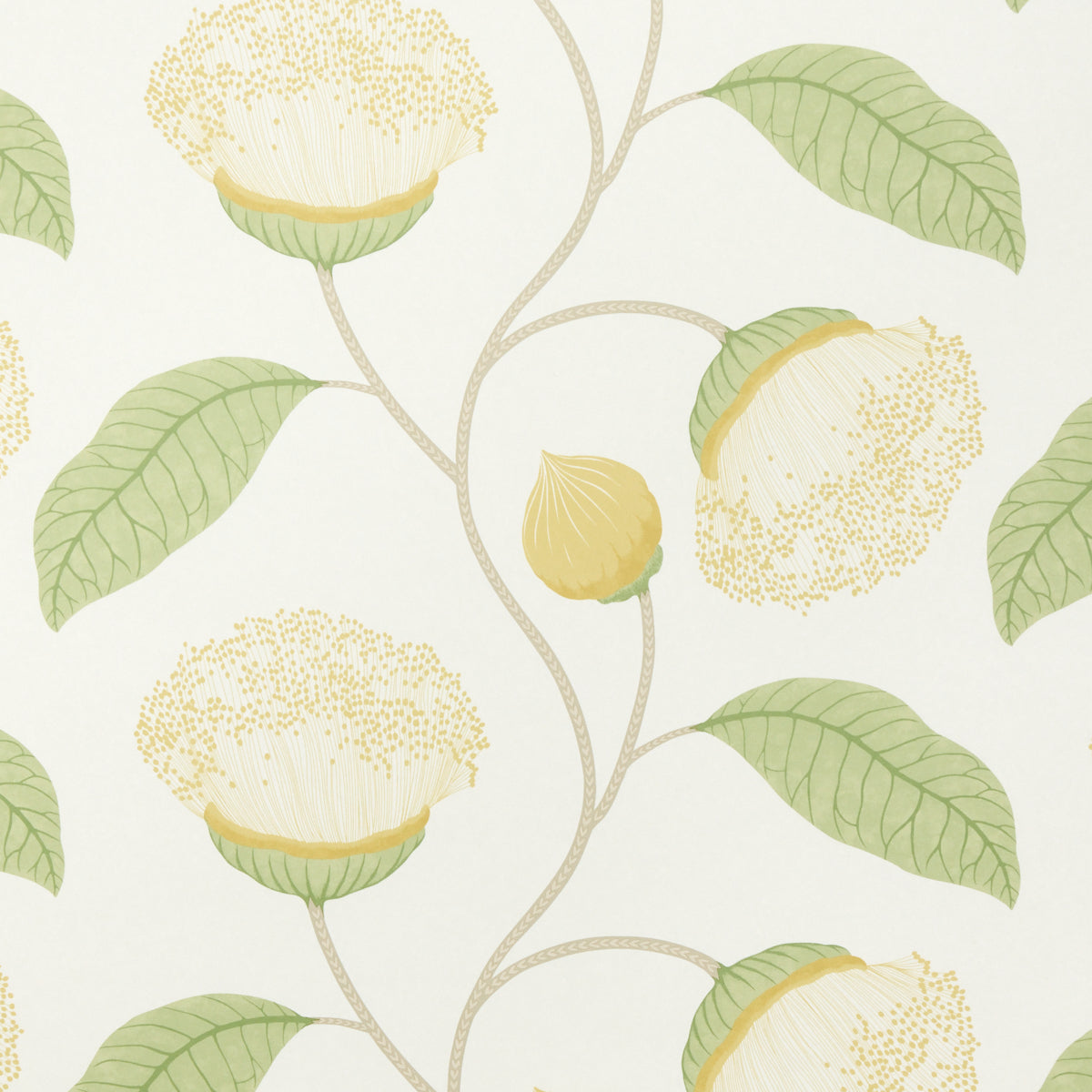 Celinda Citrus