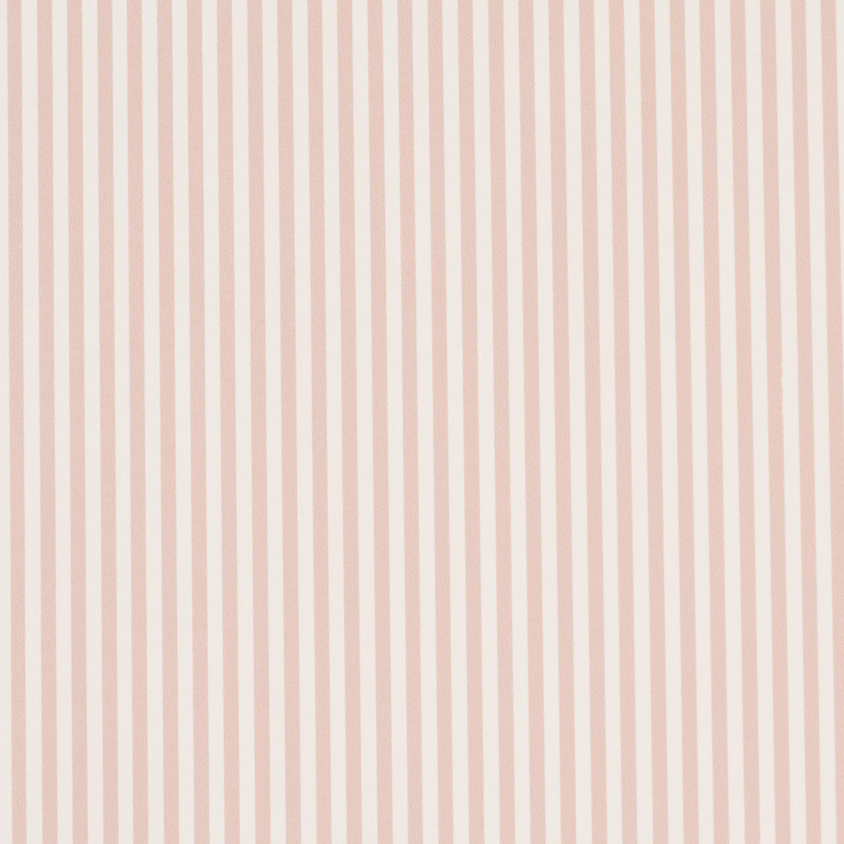 Emma Stripe Narrow Blush
