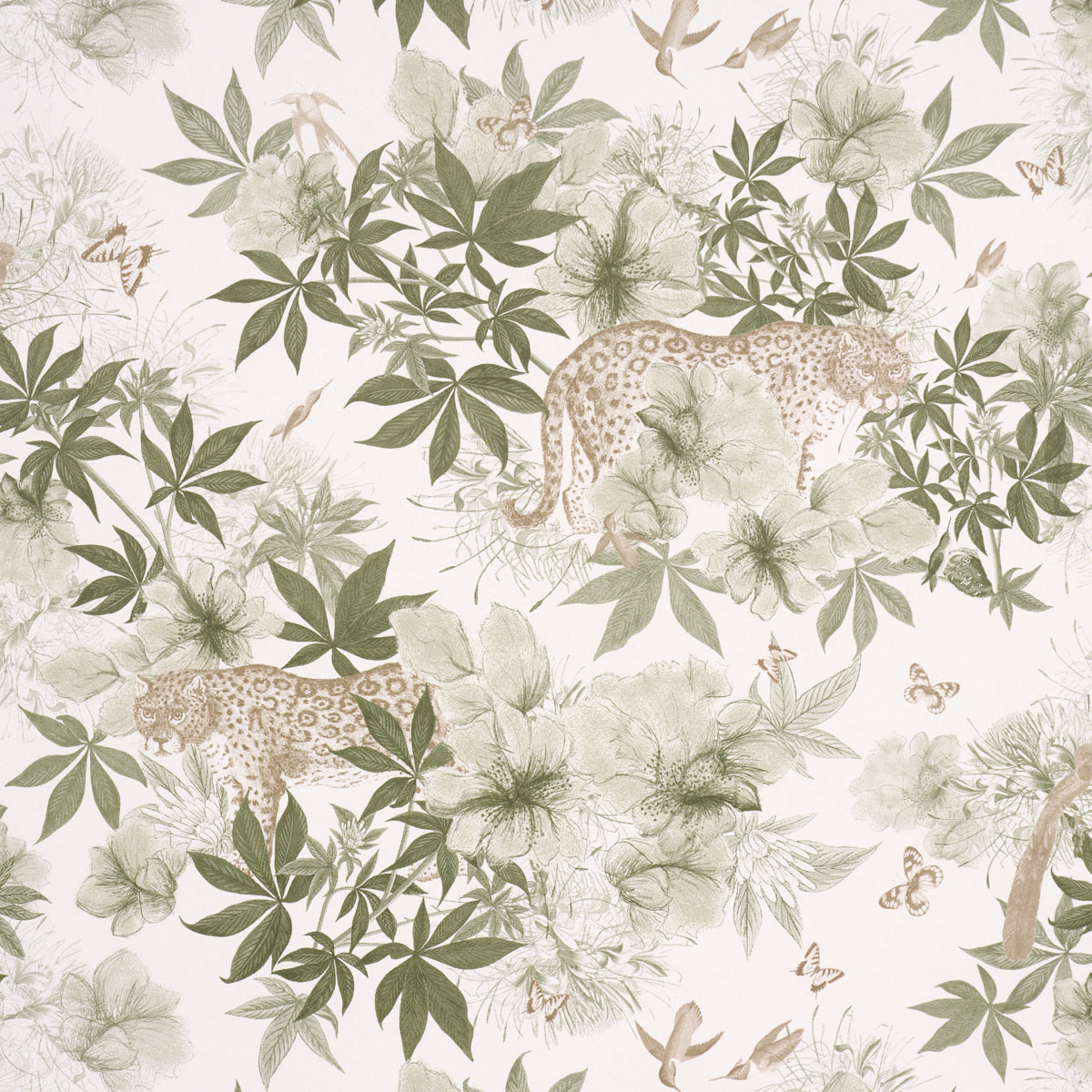 Nocturnum Ivory & Olive