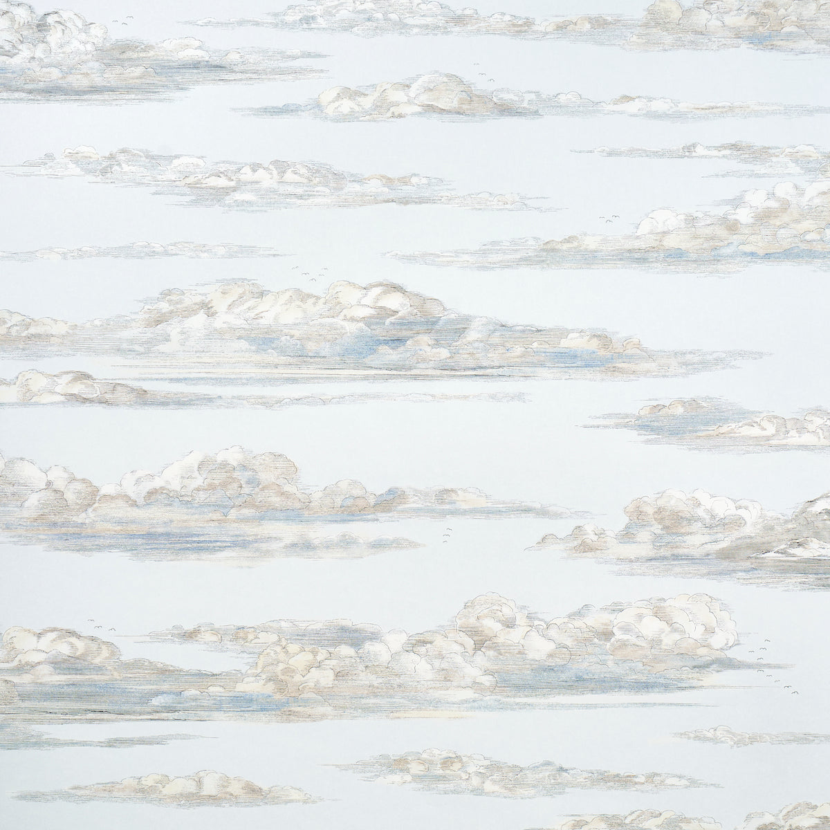 Mr. Darcy's Clouds Sky