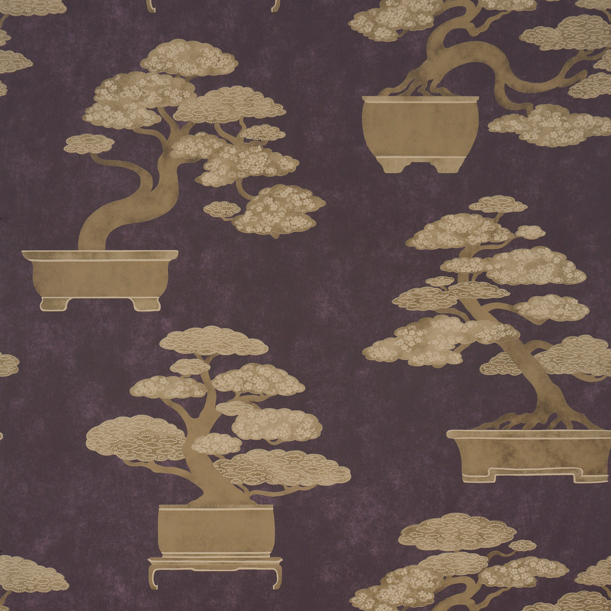 BONSAI TREE AUBERGINE