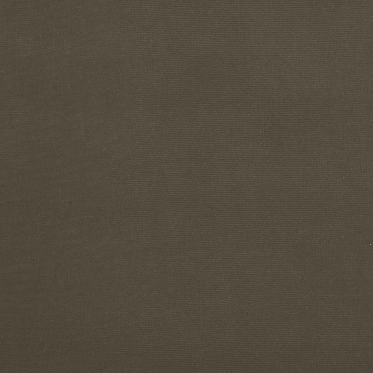 GAINSBOROUGH VELVET THYME