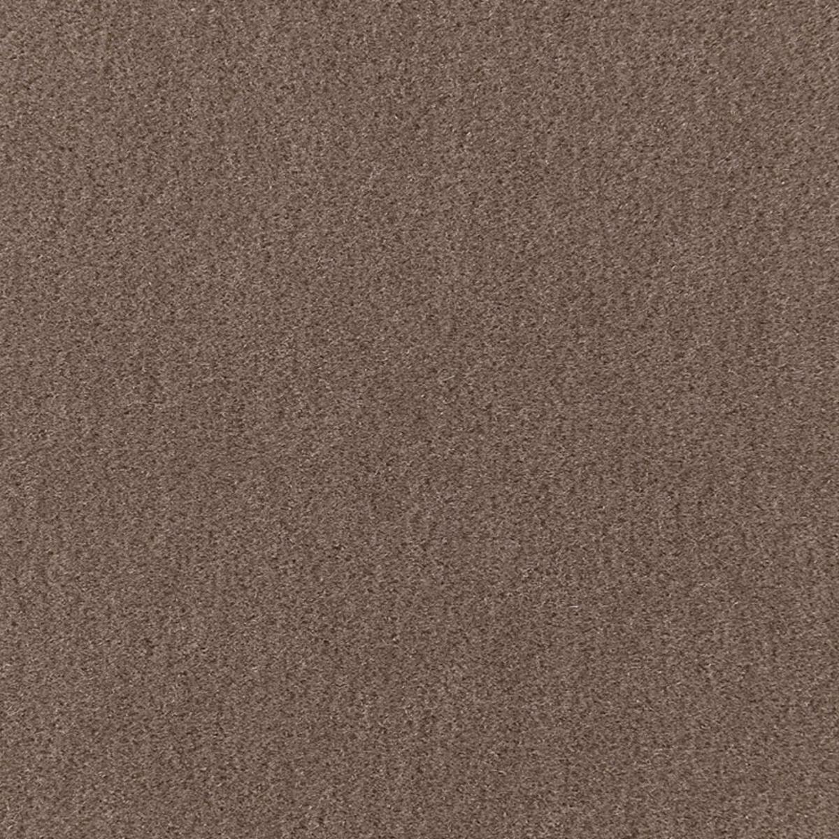 SAN CARLO MOHAIR VELVET DRIFTWOOD