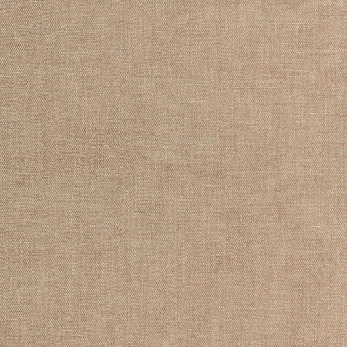 SPENCER CHENILLE VICUNA