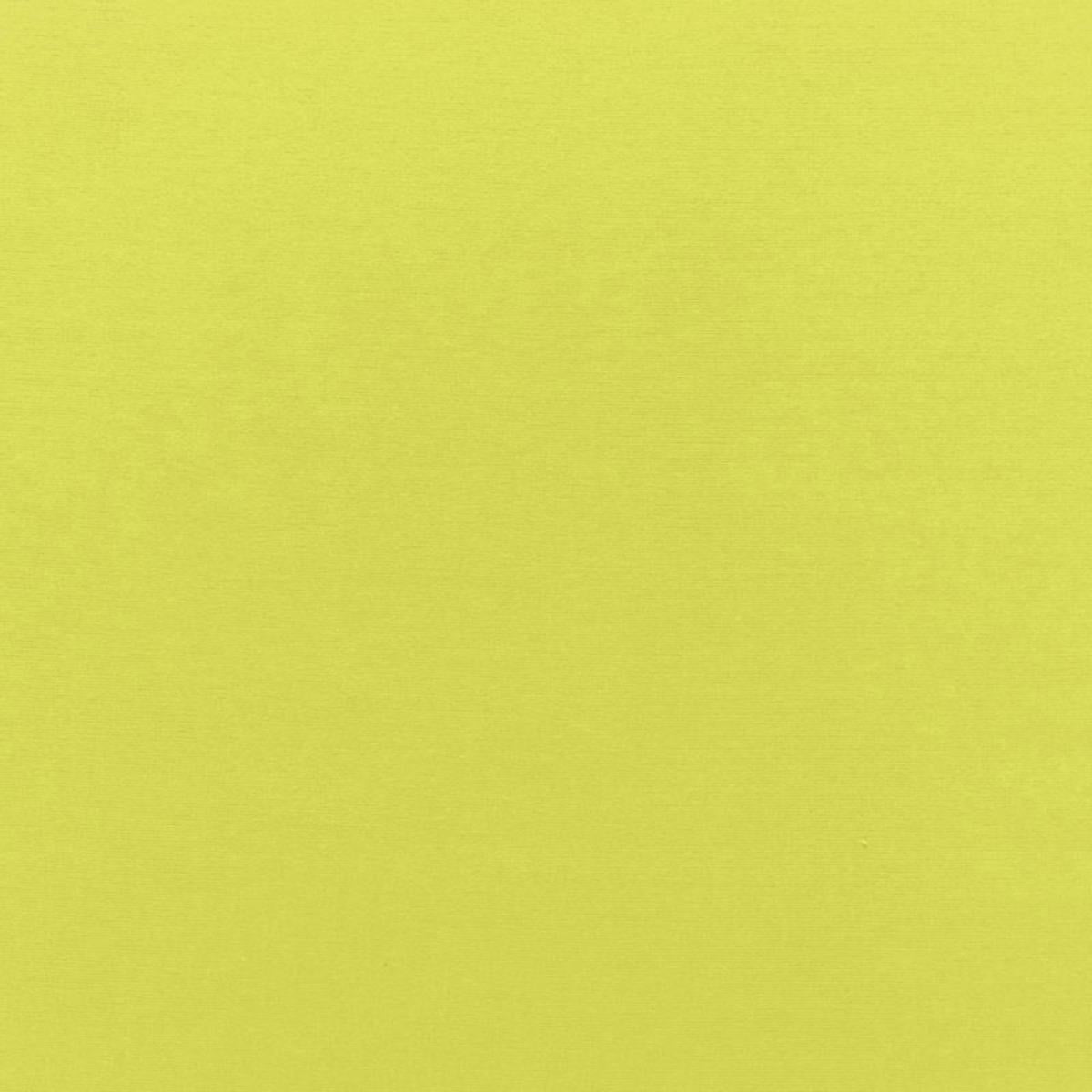 SOPHIA VELVET LIME
