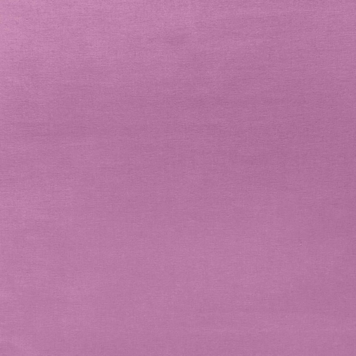 SOPHIA VELVET ORCHID