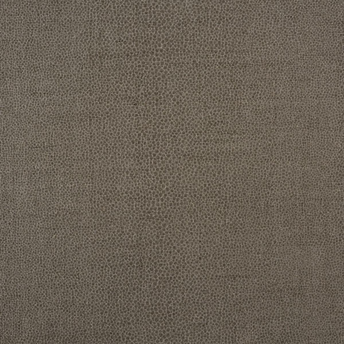 GLOSS SHAGREEN STONE
