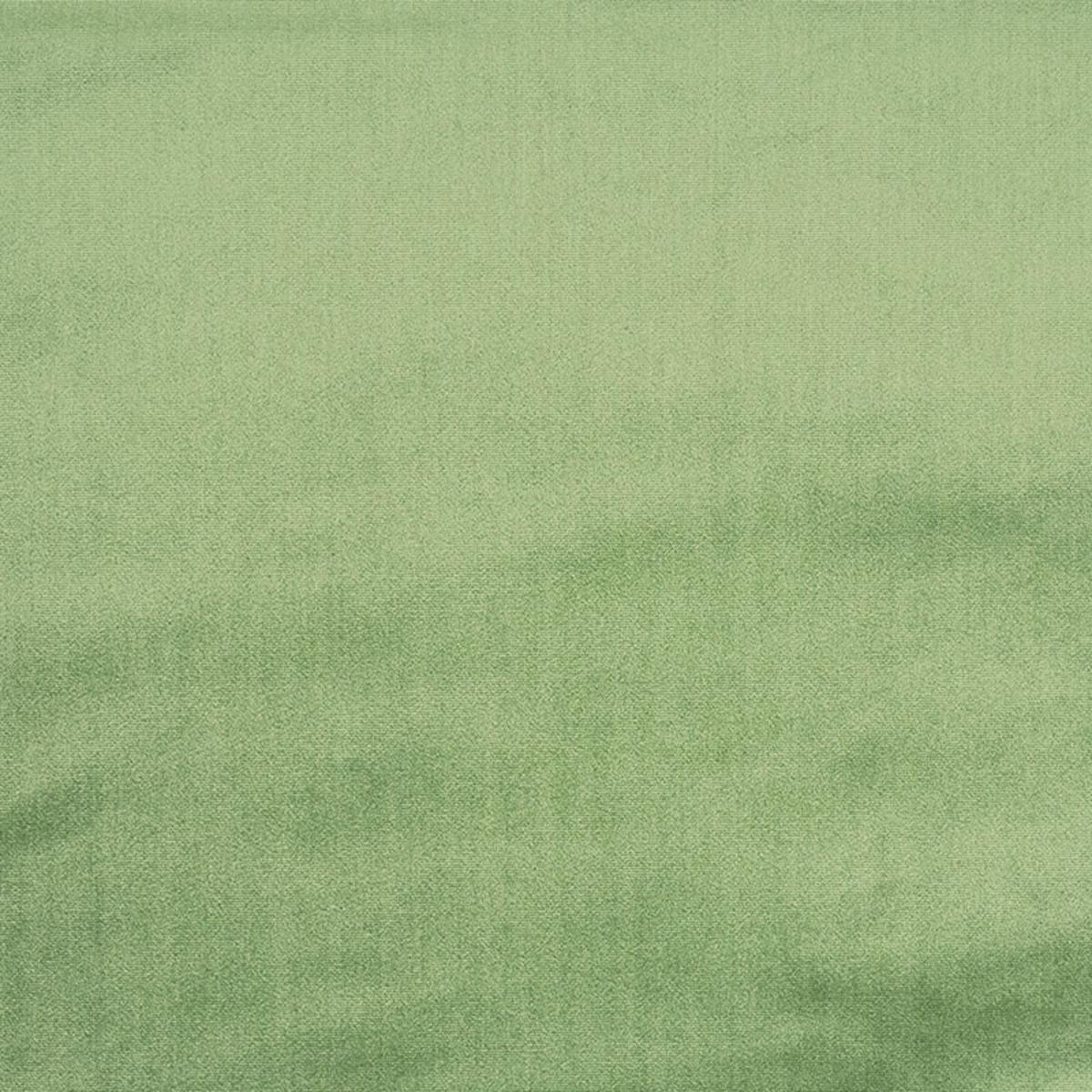 VENETIAN SILK VELVET ALOE