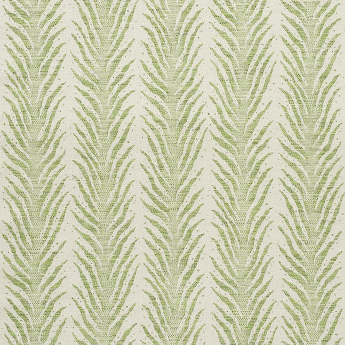 CREEPING FERN MOSS