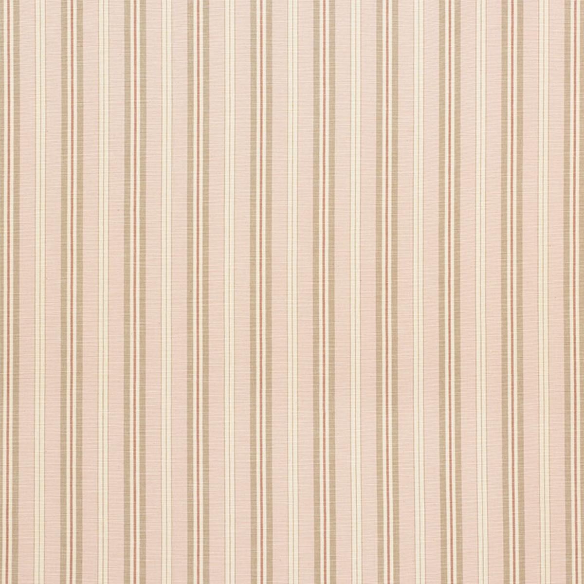 LEWIS STRIPE BLUSH