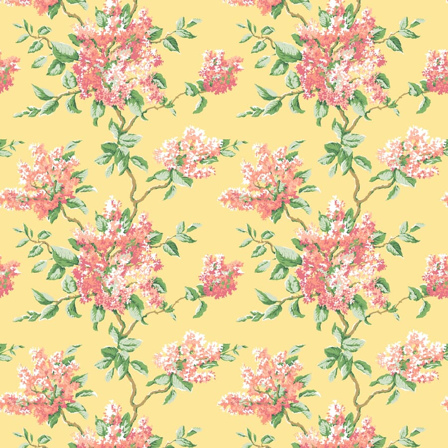7583-9 LILACS