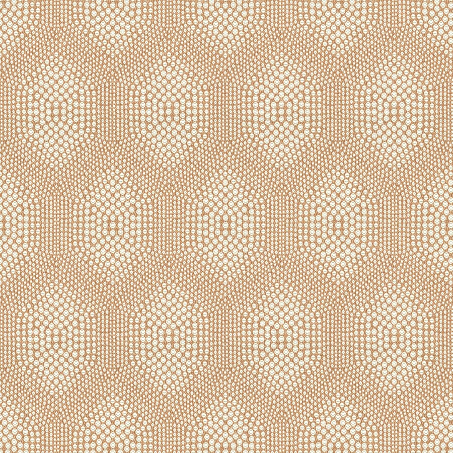 7802-21 CONNECT THE DOTS DESERT