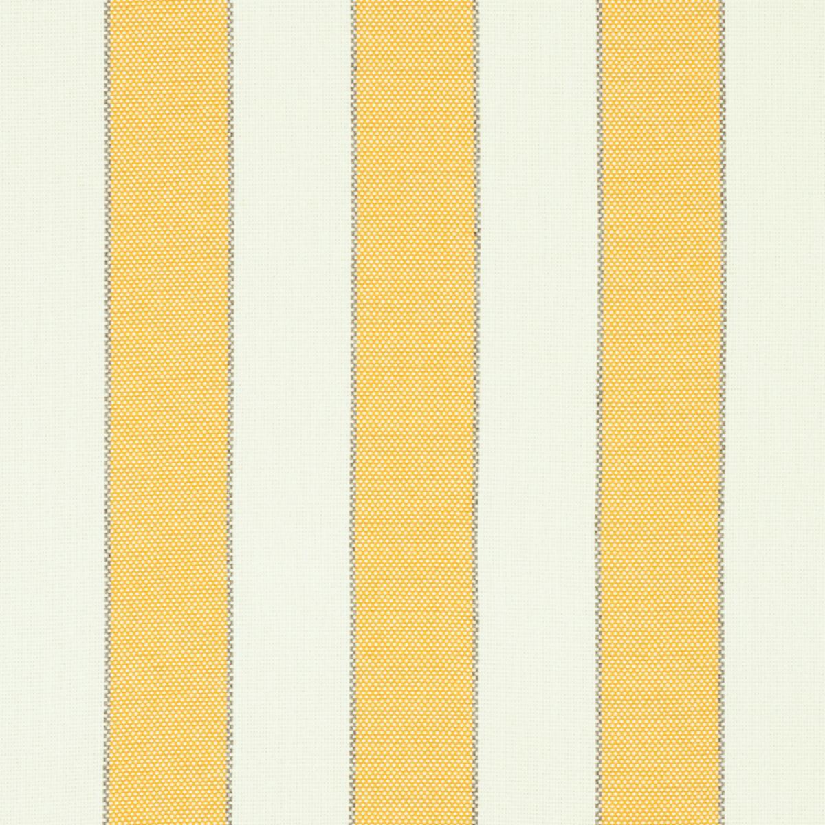 BLUMONT STRIPE INDOOR/OUTDOOR YELLOW