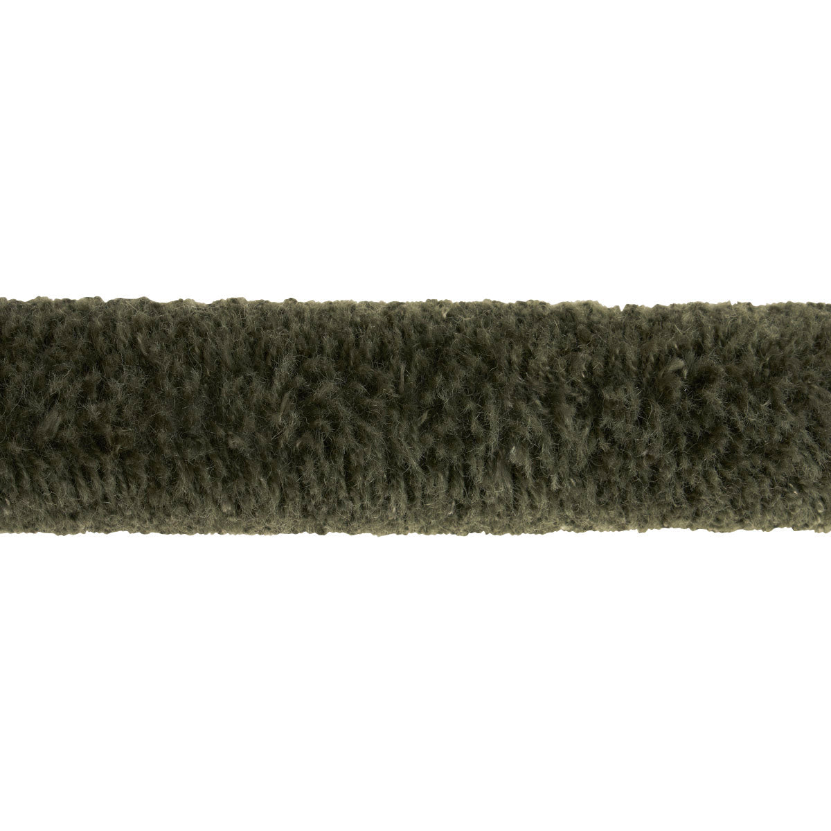 TUFT BRAID TAPE LICHEN