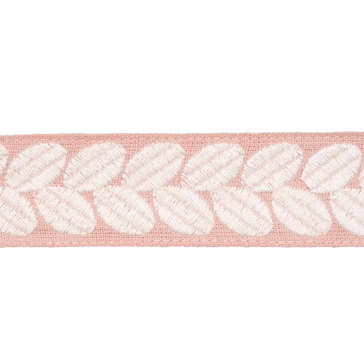 BERKELEY TAPE NARROW BLUSH