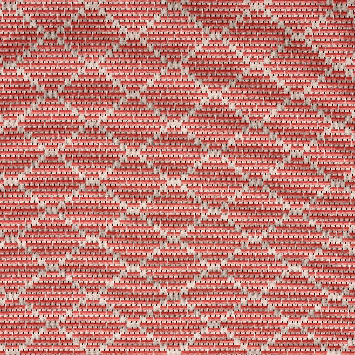 BERG ÌäPINGLÌä CORAL
