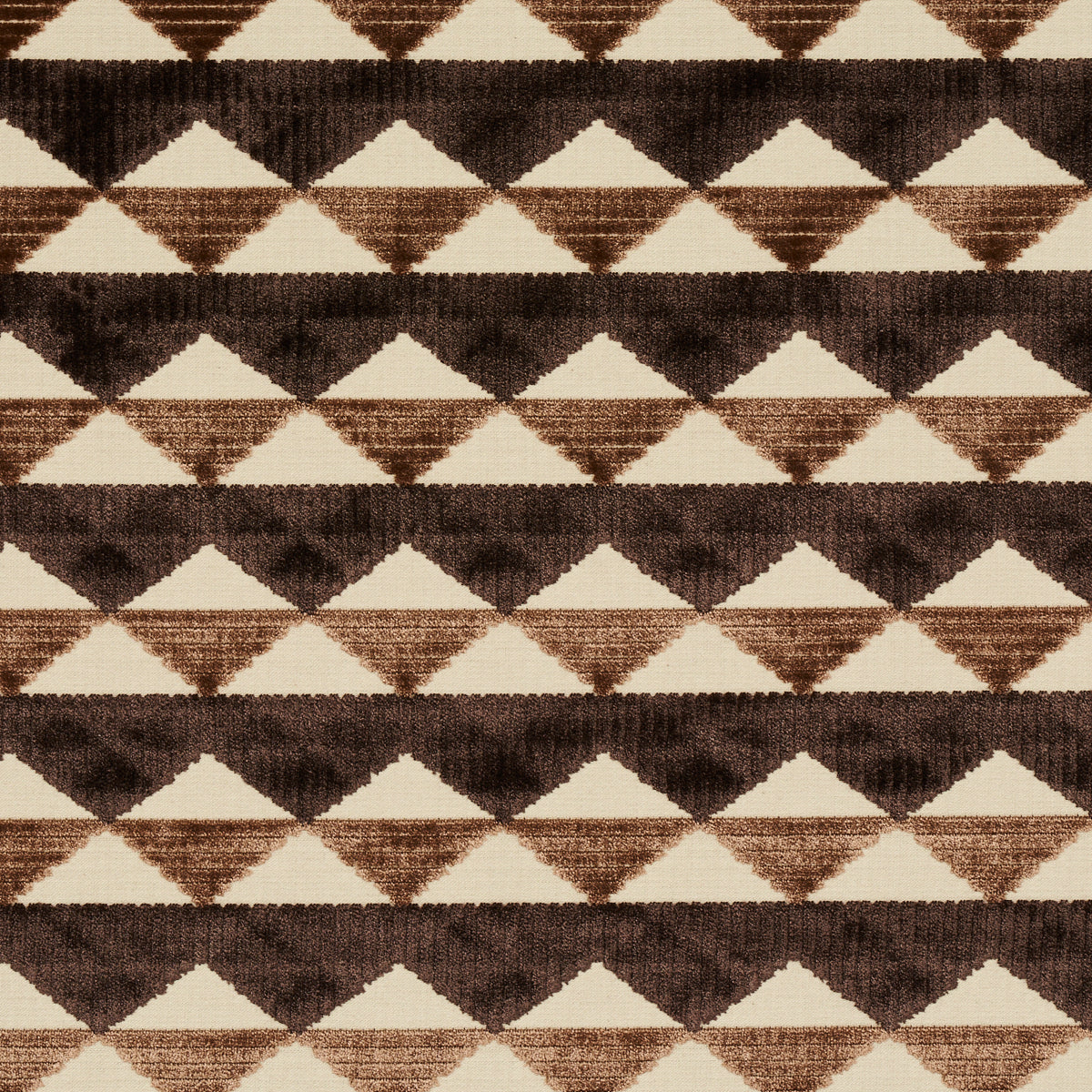 RIDGE LINE VELVET BROWN