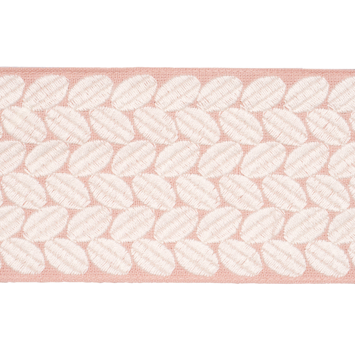 BERKELEY TAPE WIDE BLUSH