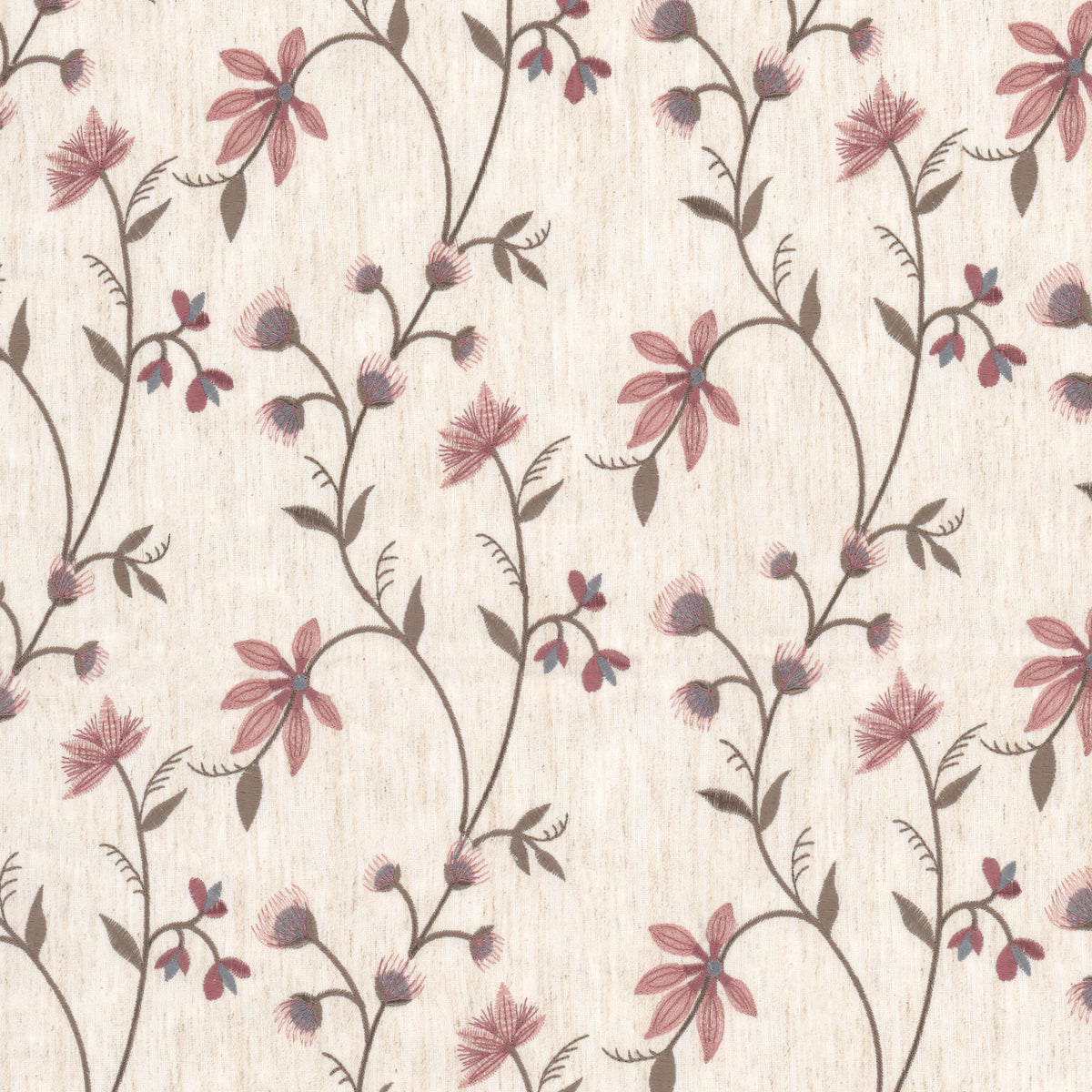 ACANTHUS 1 RASPBERRY