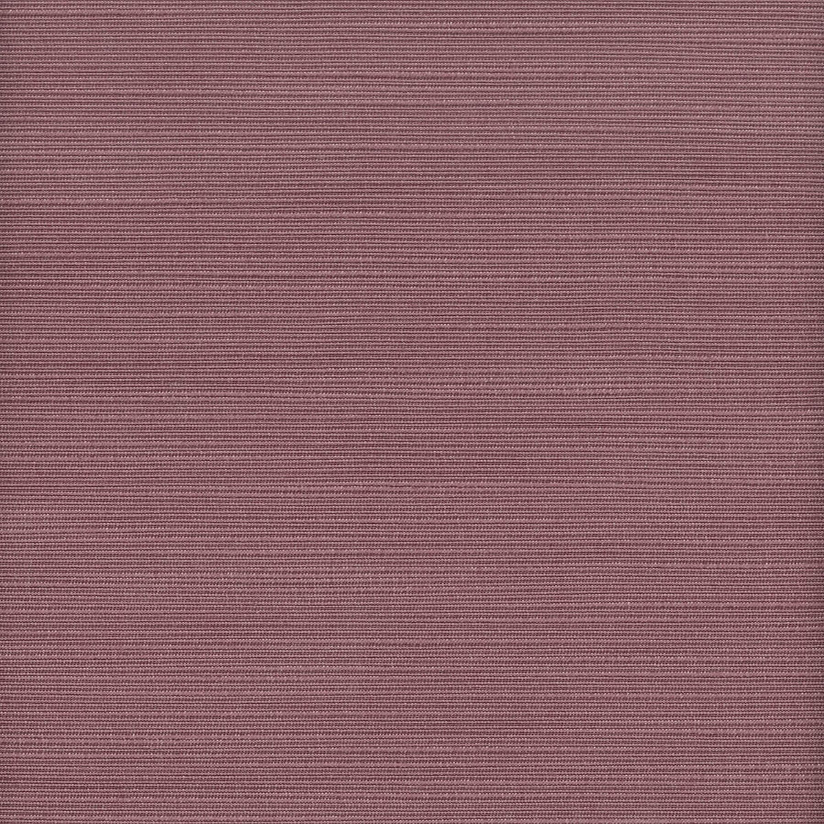 ADMIRE 31 MULBERRY