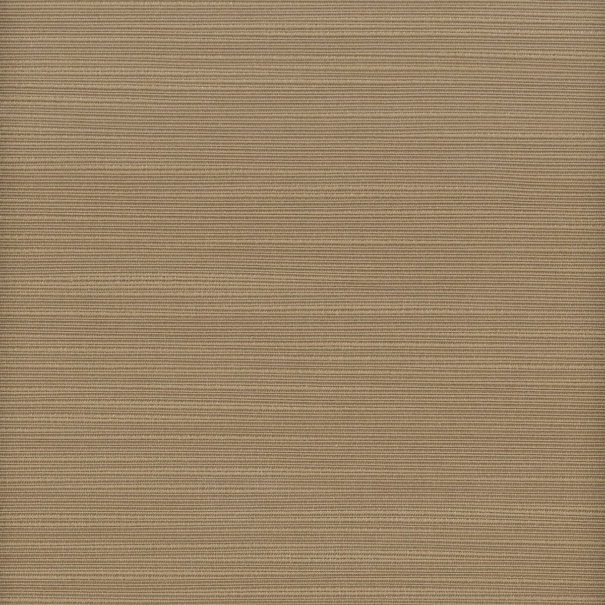 ADMIRE 43 CAPPUCCINO