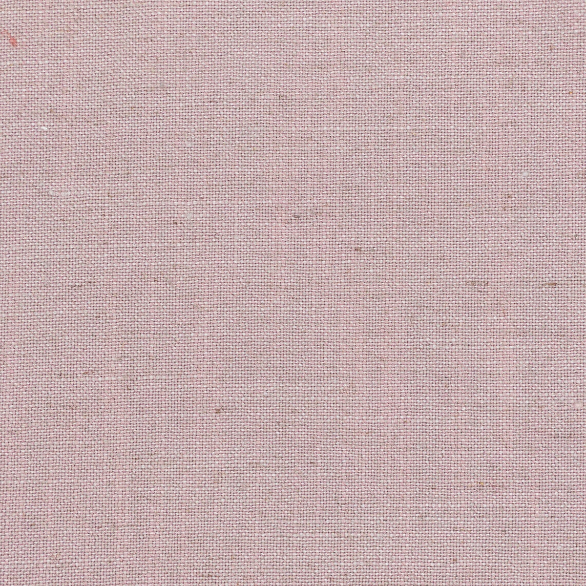 AINSWORTH 6 LAVENDER