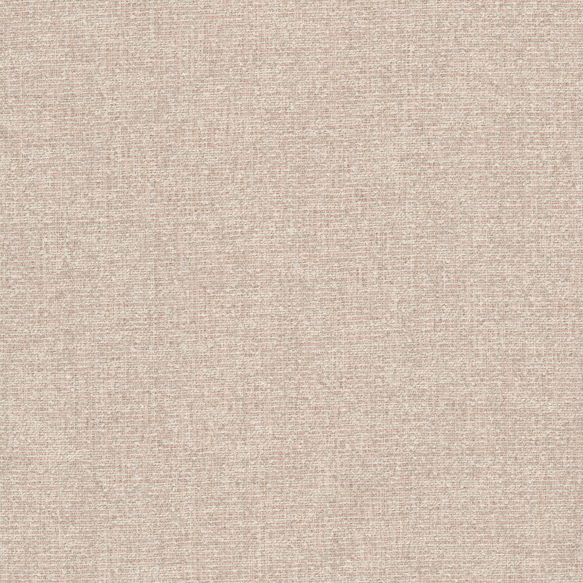 ALOUD 1 BLUSH