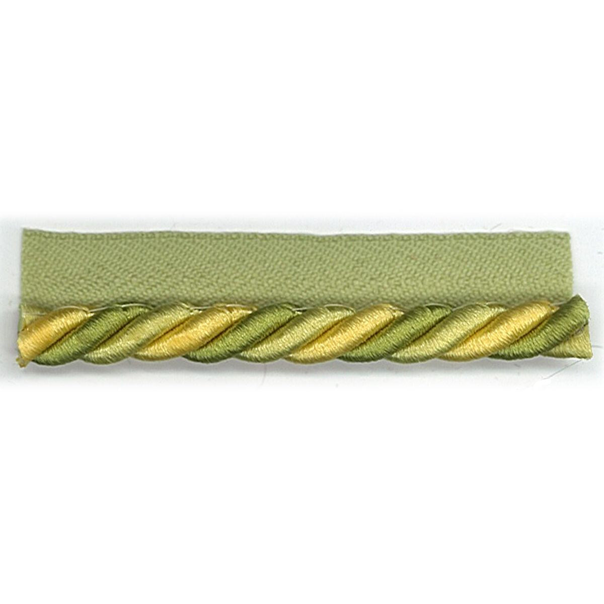 STOUT ASHBROOK 1 SPRINGTIME Trim | Atlanta Fabrics