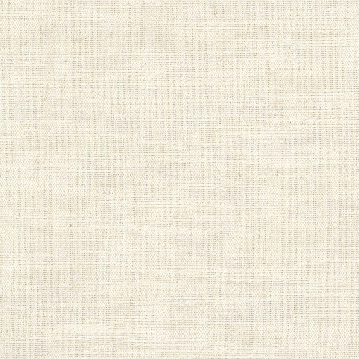BECHERINI 2 BIRCH