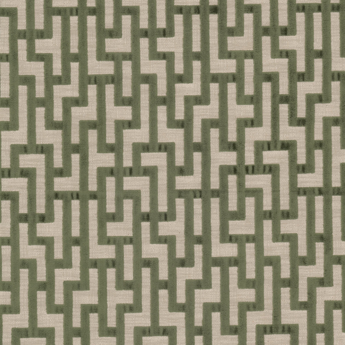 BERBER 1 DILL