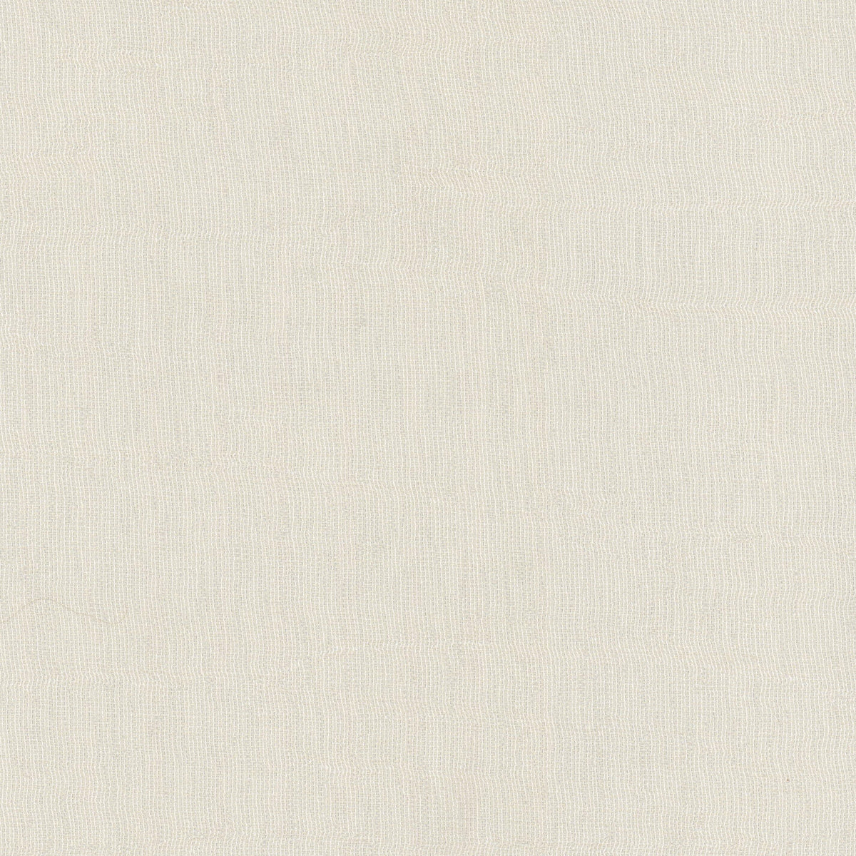 BIOGRAPHY 1 PARCHMENT