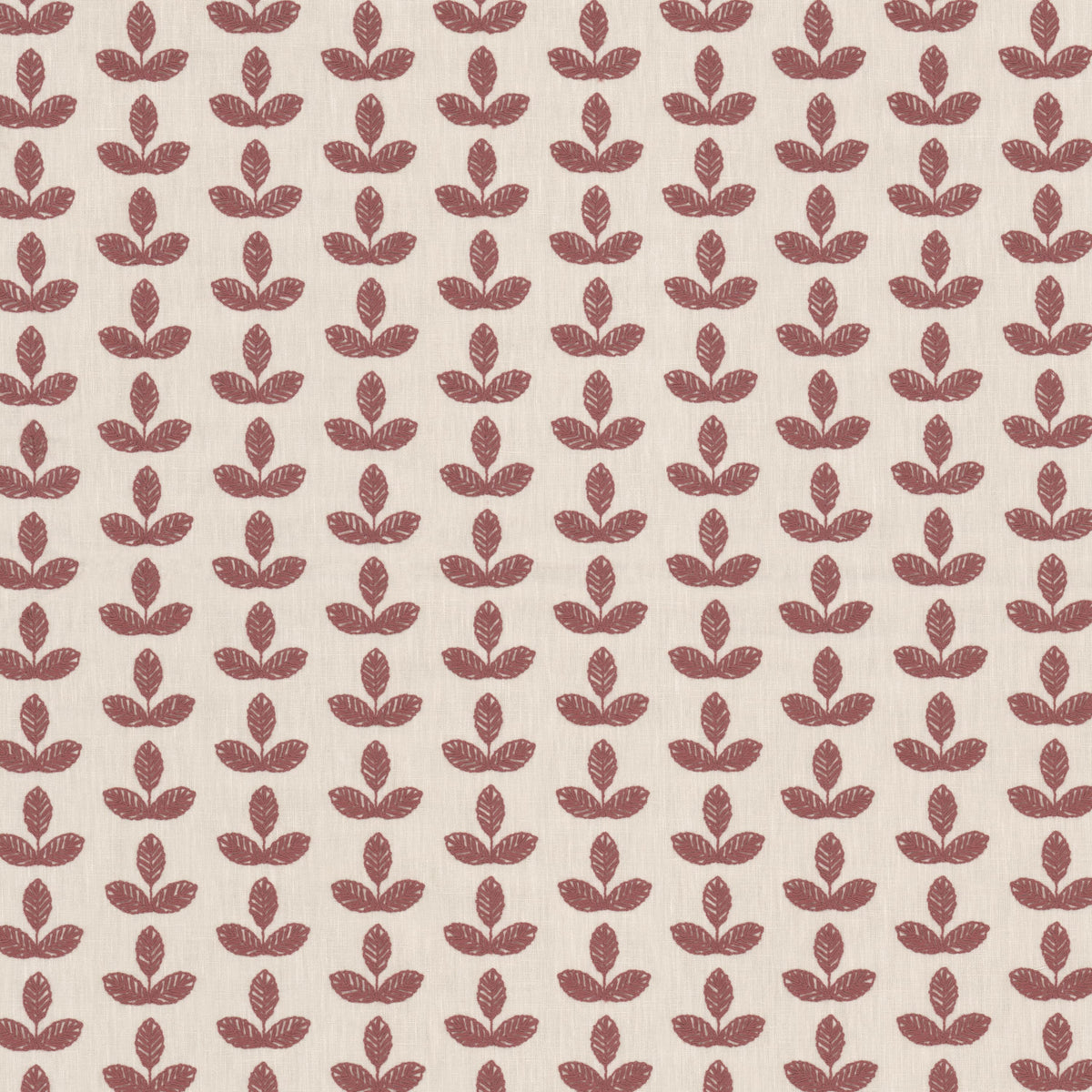 BISON 1 RASPBERRY
