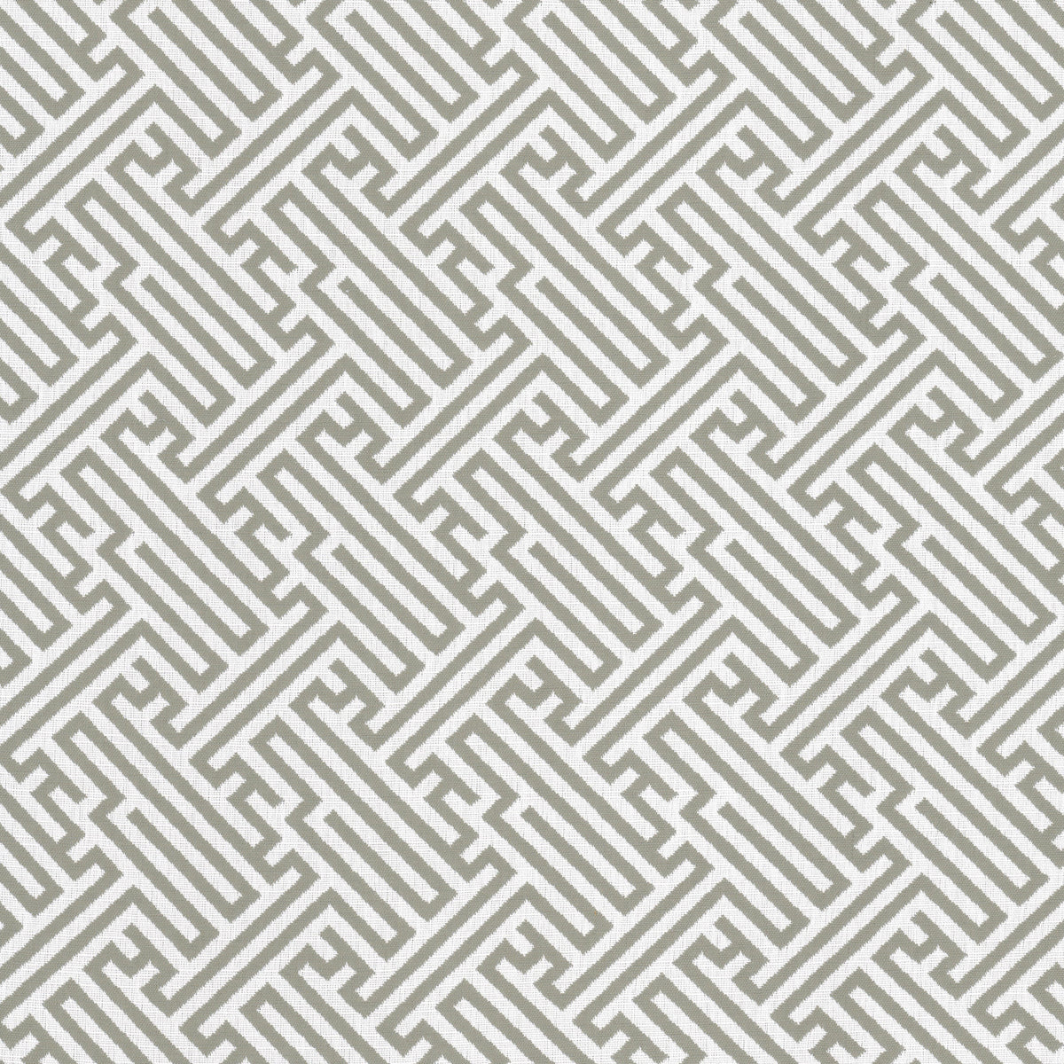 BITTEROOT 2 GREY