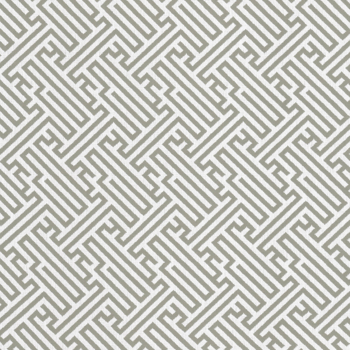 BITTEROOT 2 GREY
