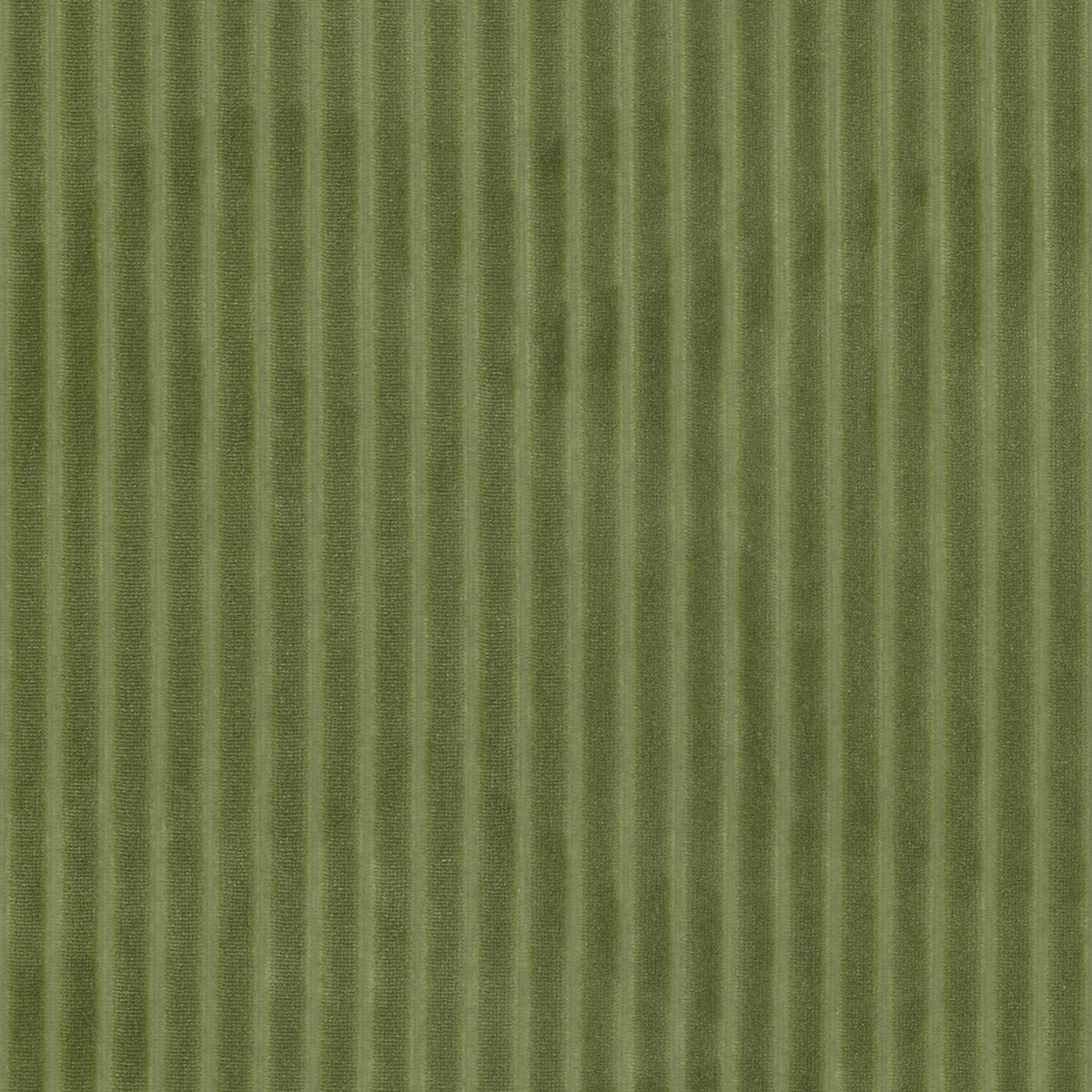 BLINK 2 CHIVE