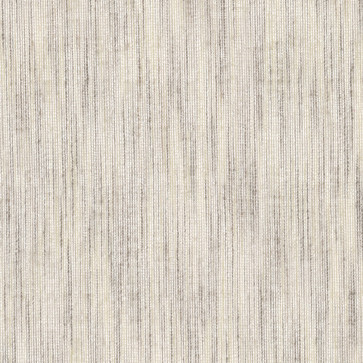 BOGGLE 1 BIRCH