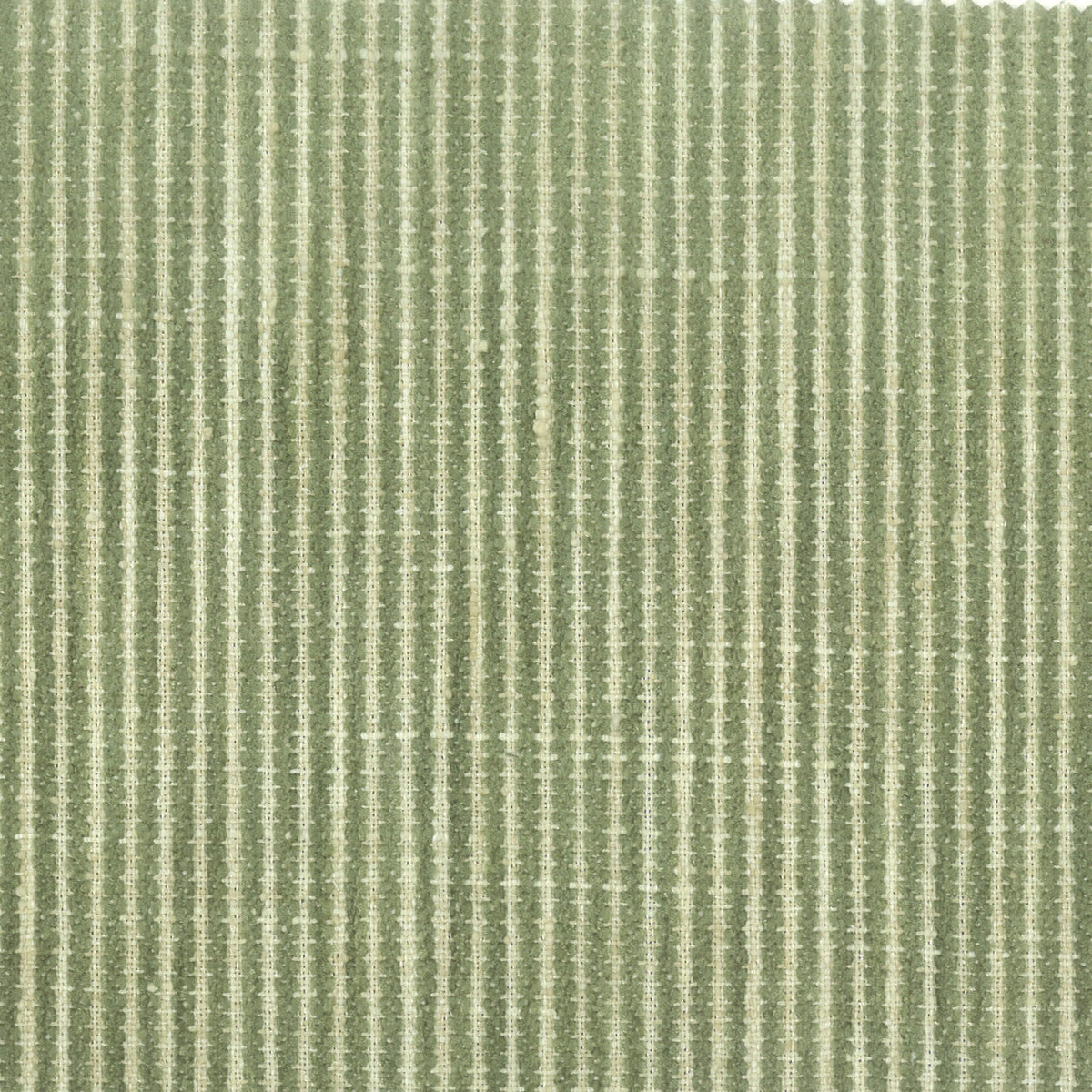 BOHEMIA 2 MOSS