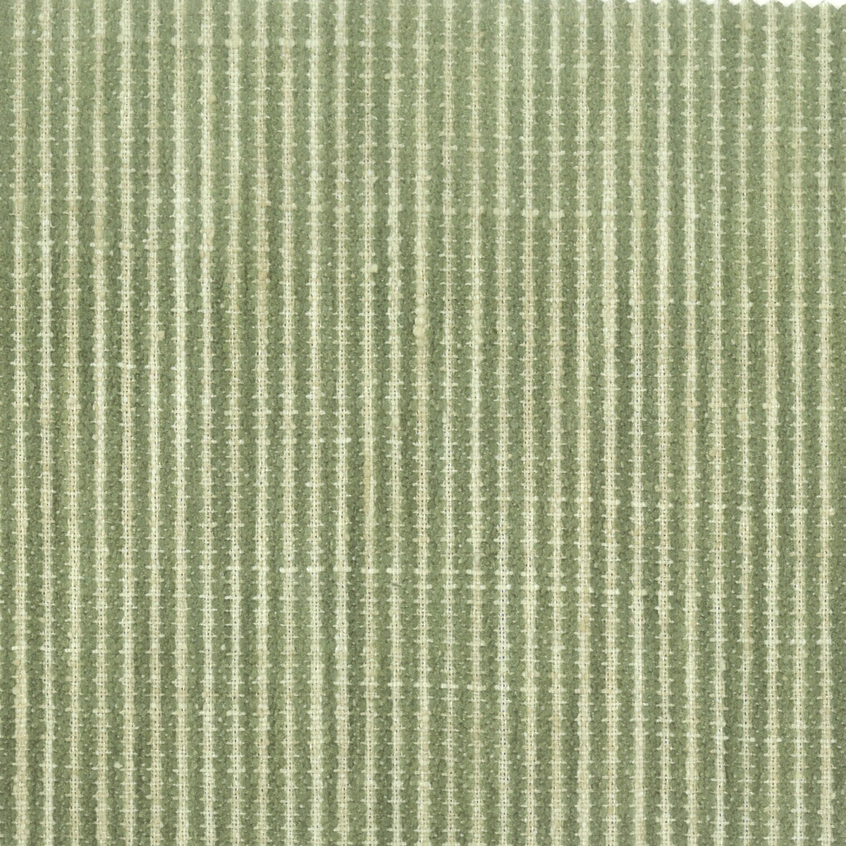 BOHEMIA 2 MOSS