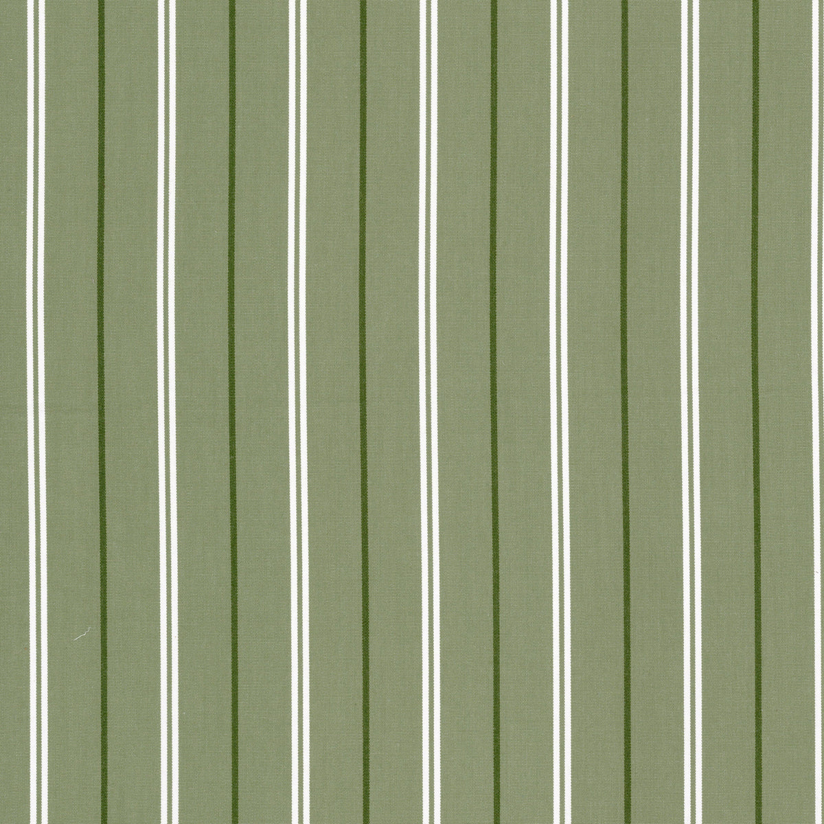 BORETTI 1 PISTACHIO