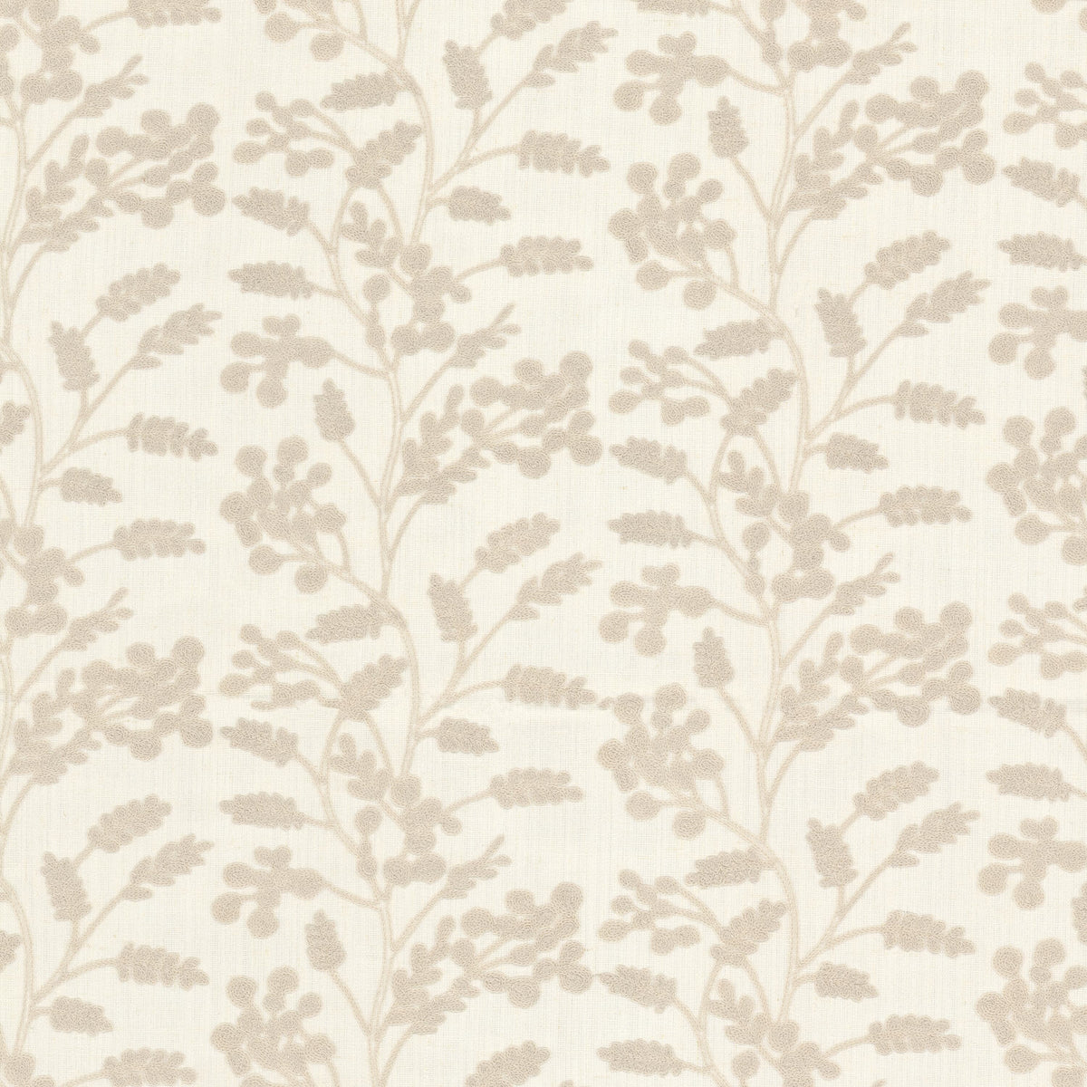 BOTTEGA 1 BIRCH