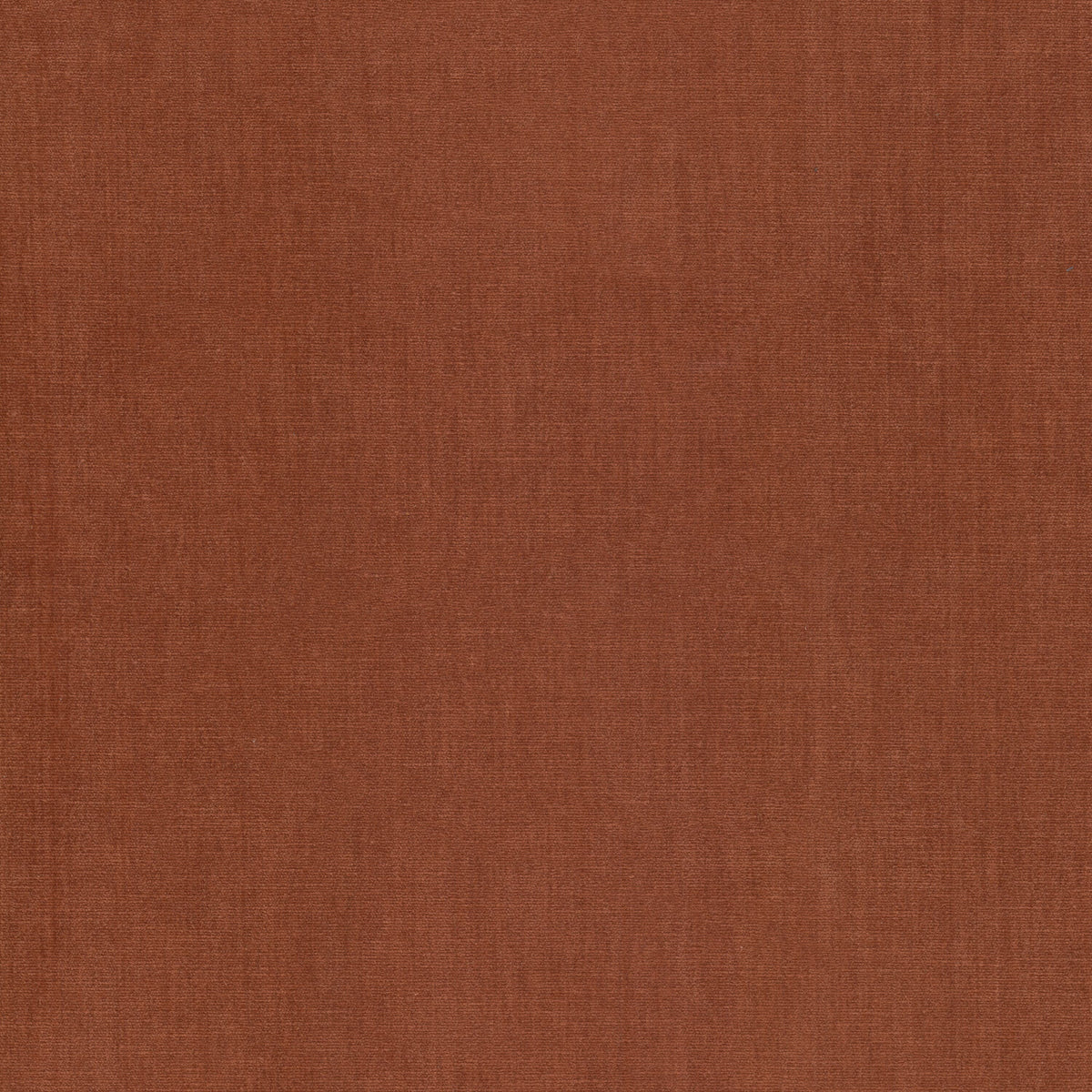 BOUNTIFUL 29 PAPRIKA