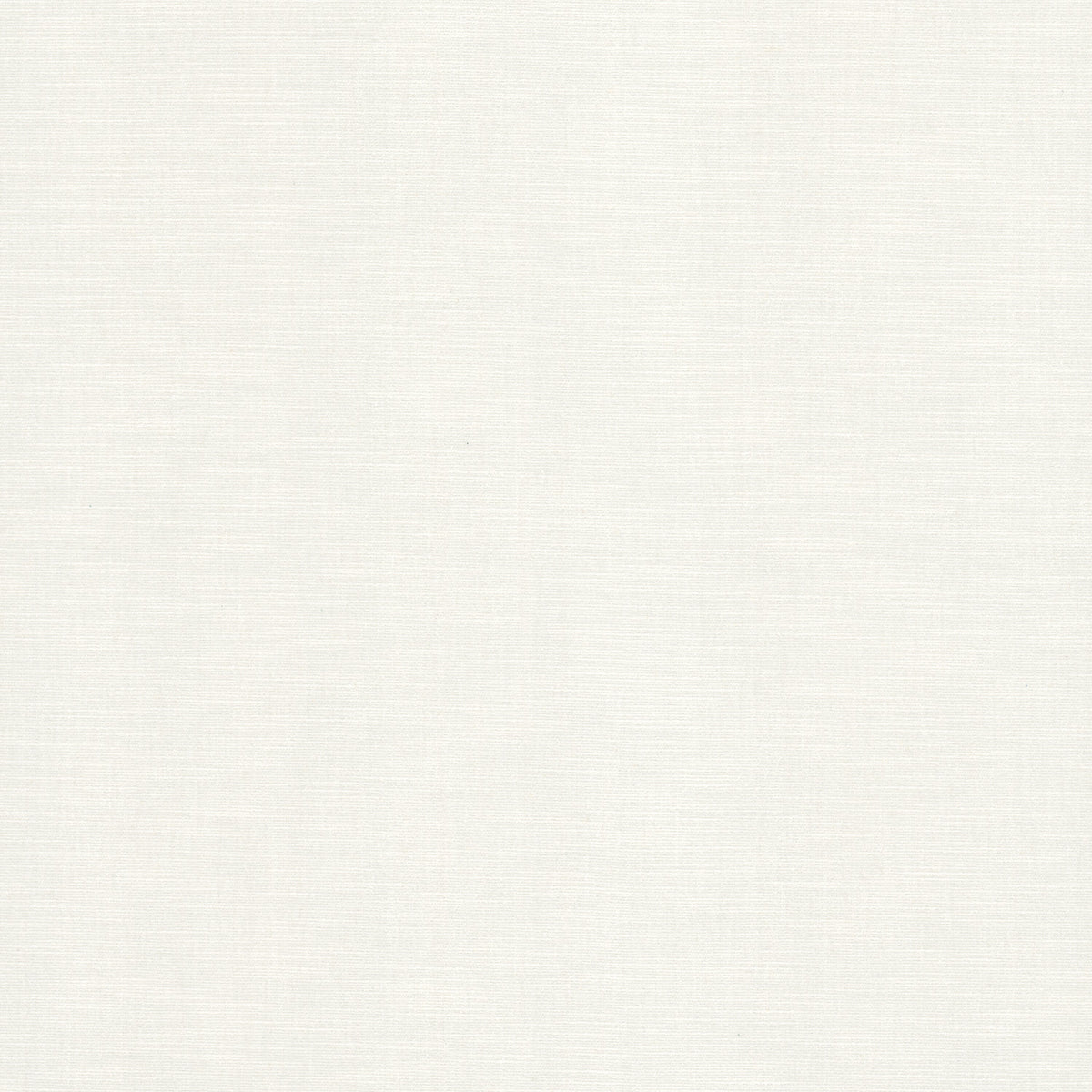 STOUT BOUNTIFUL 8 CHALK Fabric | Atlanta Fabrics