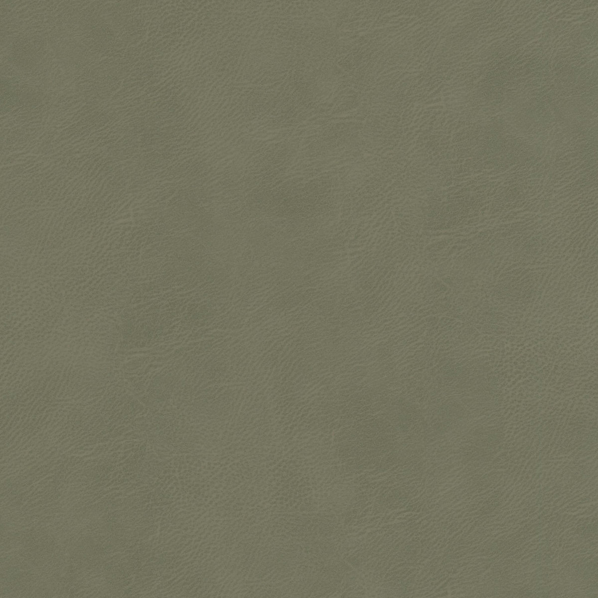 BUSONI 1 BAYBERRY