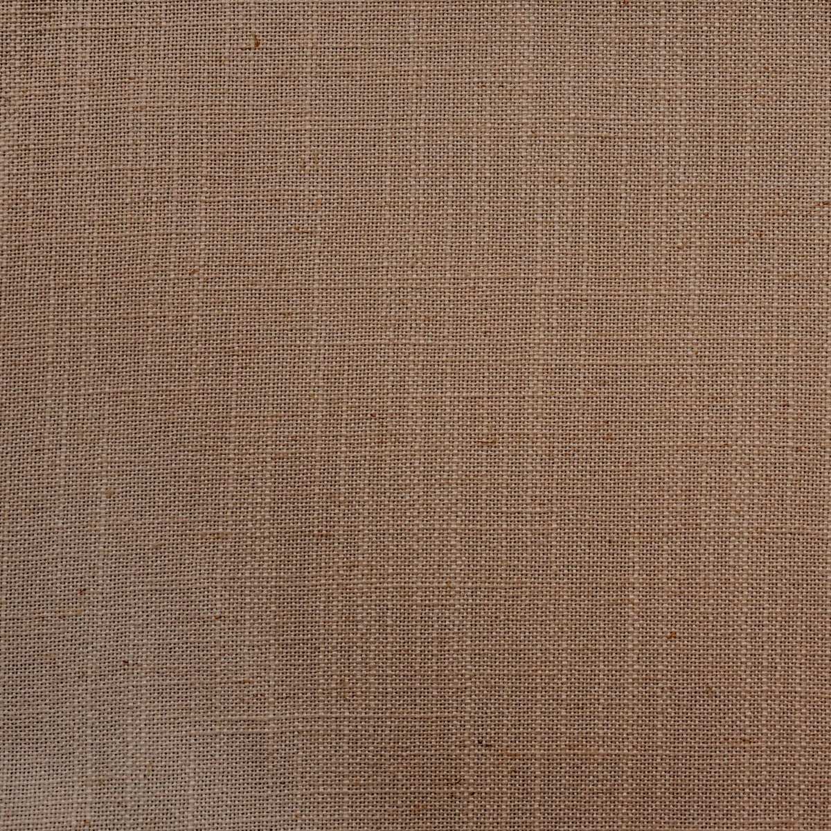Brigadoon / Hazelnut