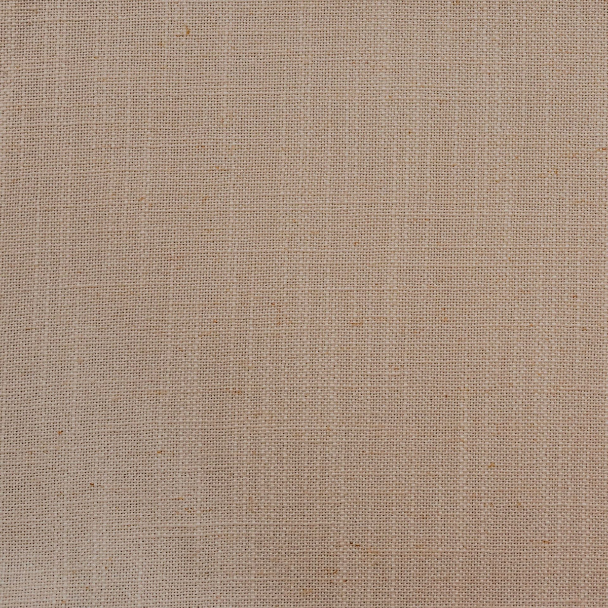 Brigadoon / Taupe